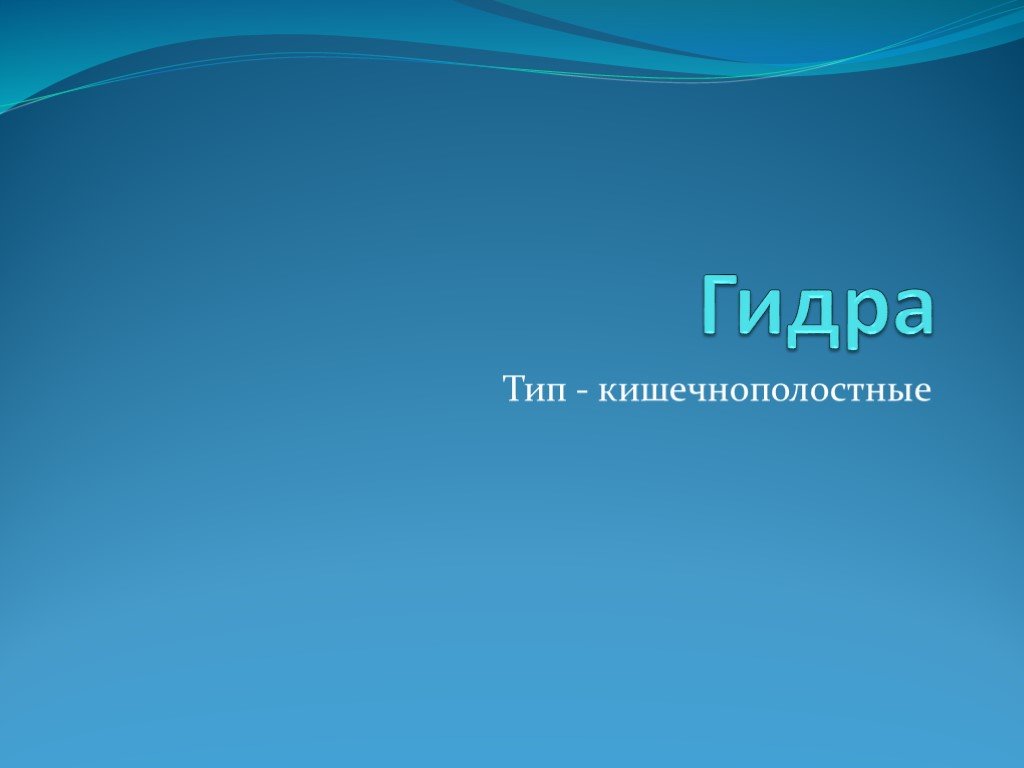 Кракен даркнет текст