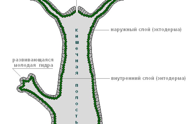 Какой нужен тор чтоб зайти в кракен